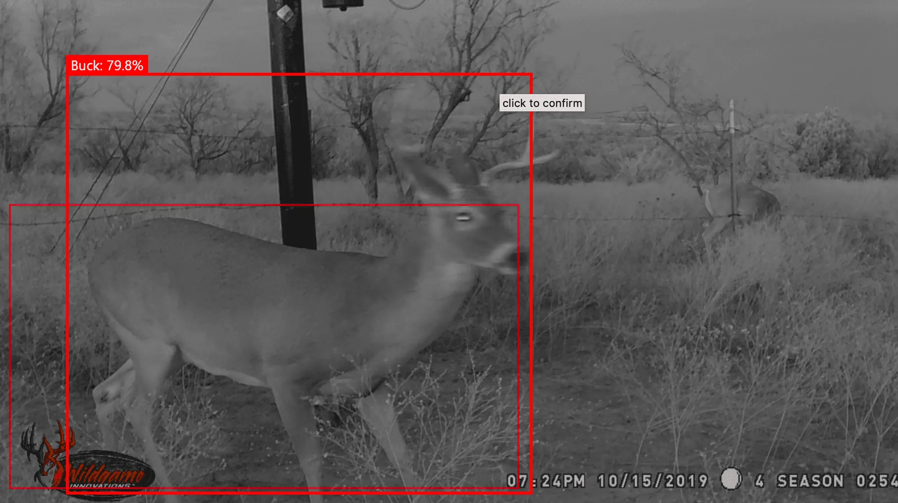 Image Object Detection