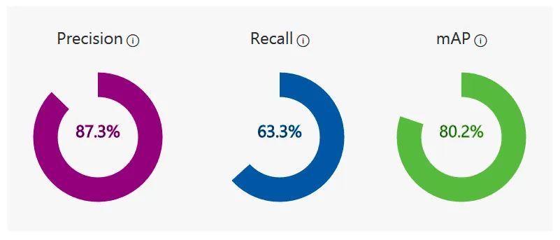 After Training Metrics